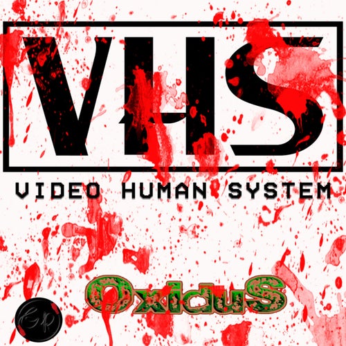 VHS (Video Human System)