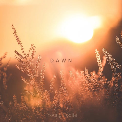 Dawn