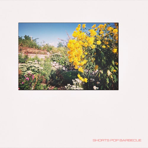 Release of the week