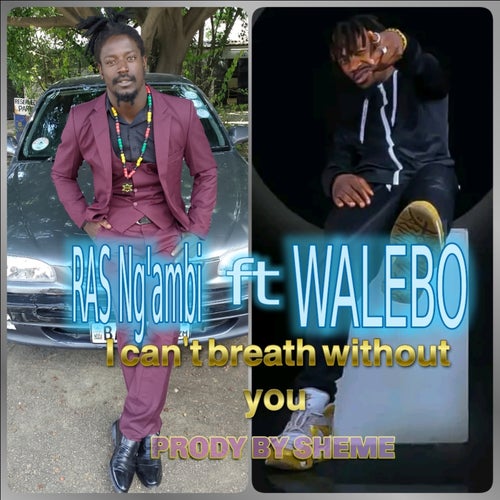 I Cant Breath Without You (feat. Walebo)