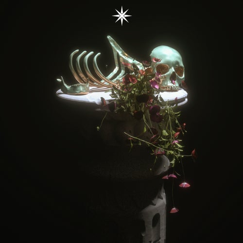 Release of the week