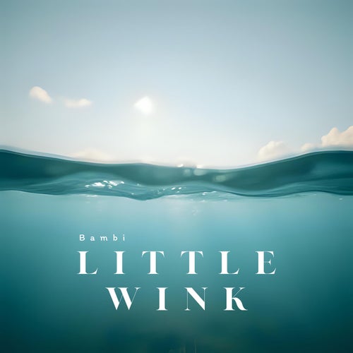 Little Wink
