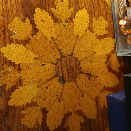 AUTUMN WINDOW