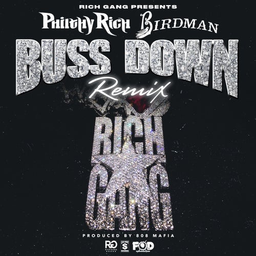 Buss Down (Remix) [feat. Birdman] - single