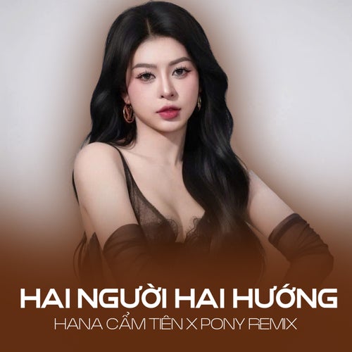 Hai Người Hai Hướng (Remix Pony)