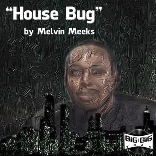 House Bug