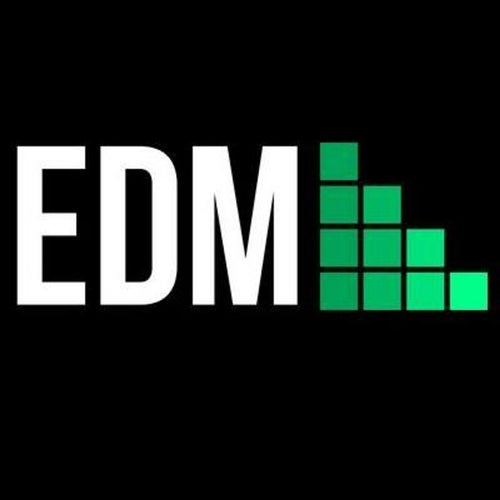 Electronic Dance Music Profile