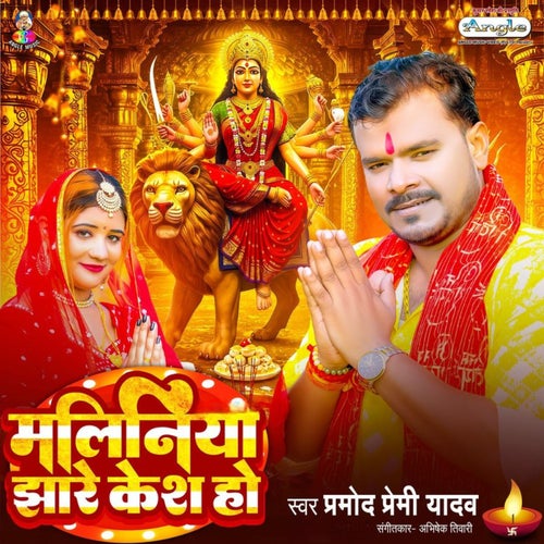 Maliniya Jhare Kesh Ho