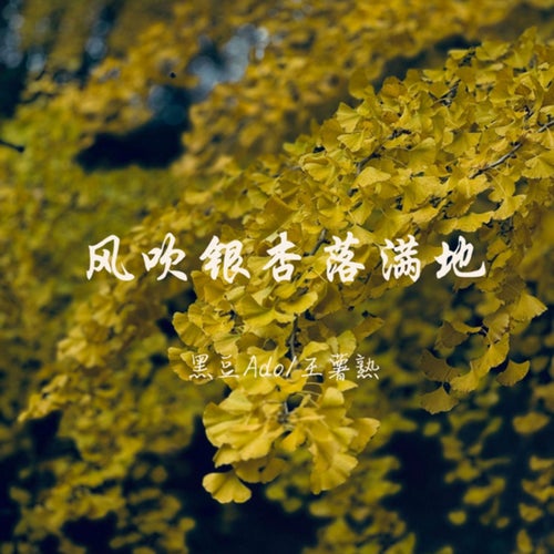 风吹银杏落满地