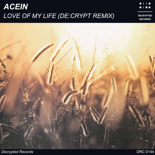 Love Of My Life (De:crypt Remix)