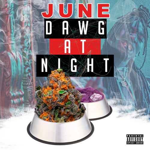 Dawg at Night