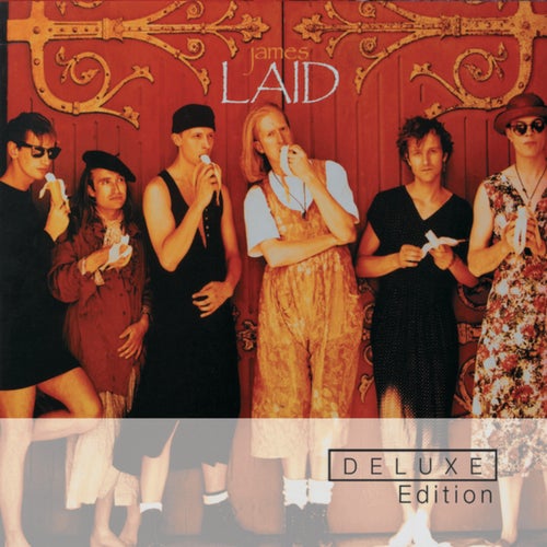 Laid