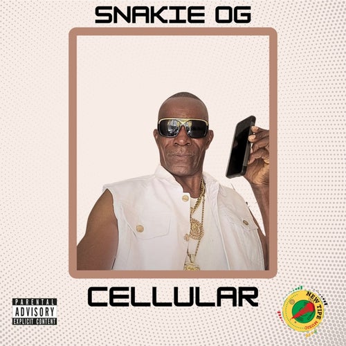Cellular