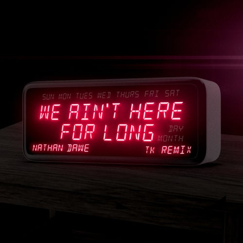 We Ain't Here For Long (TK Remix)
