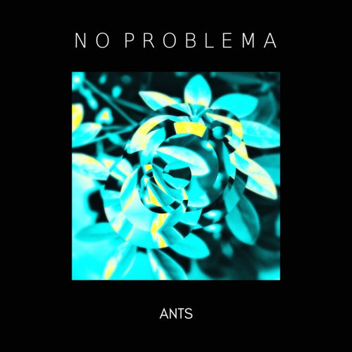 Ants