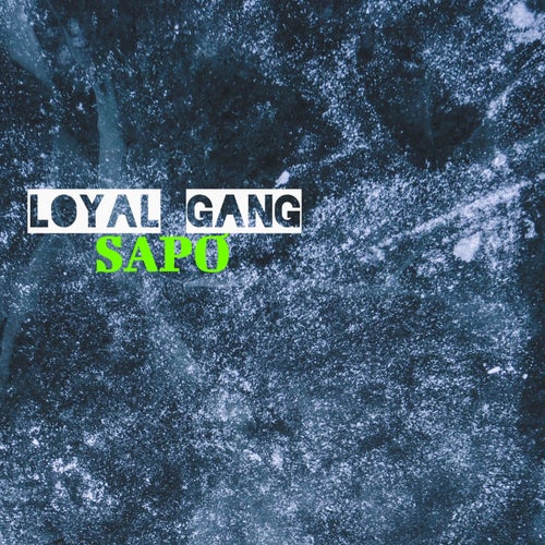 Sapo