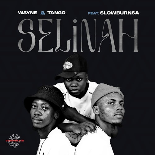 Release of the week