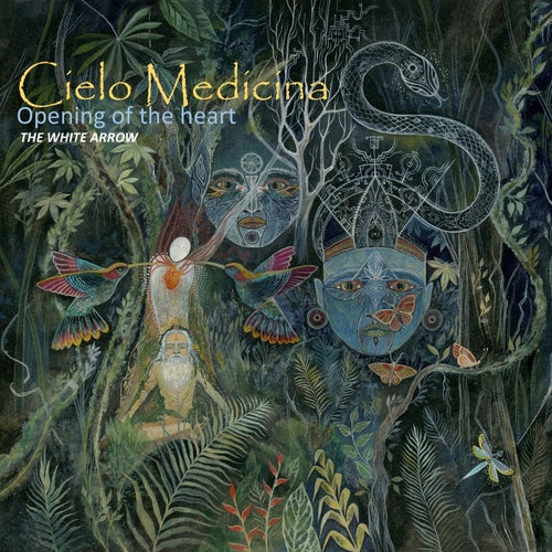 Cielo Medicina