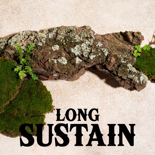 Long Sustain