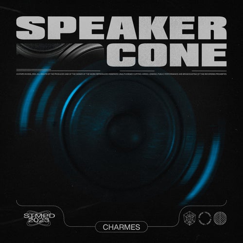 Speaker Cone