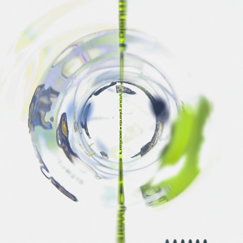 Aeolian Software