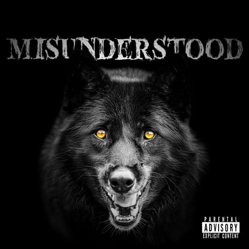 Misunderstood (feat. XxRoadRunna2xX)