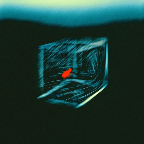 Release of the week