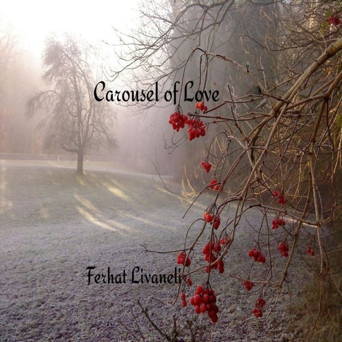 Carousel of Love