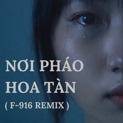 Nơi Pháo Hoa Tàn (F-916 Remix)