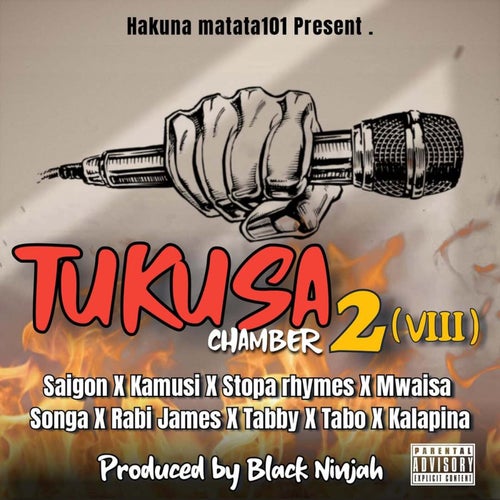Tukusa 2 Viii