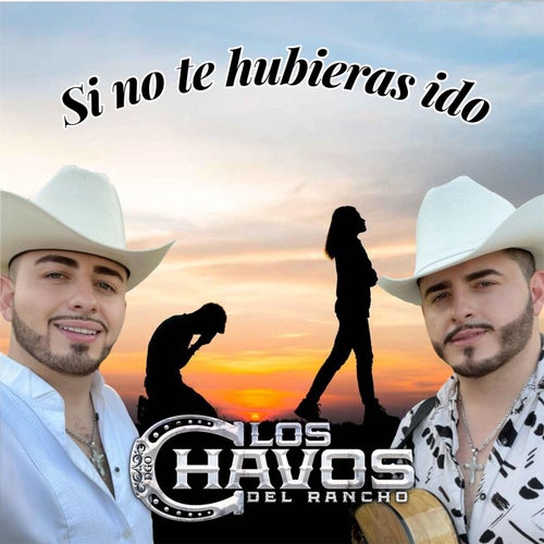 Si No Te Hubieras Ido