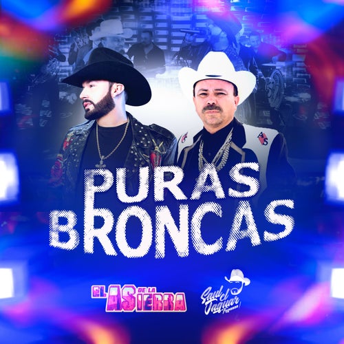Puras Broncas