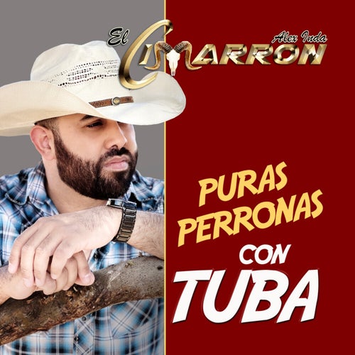 Puras Perronas Con Tuba