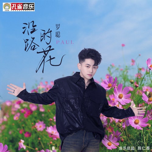 沿路的花