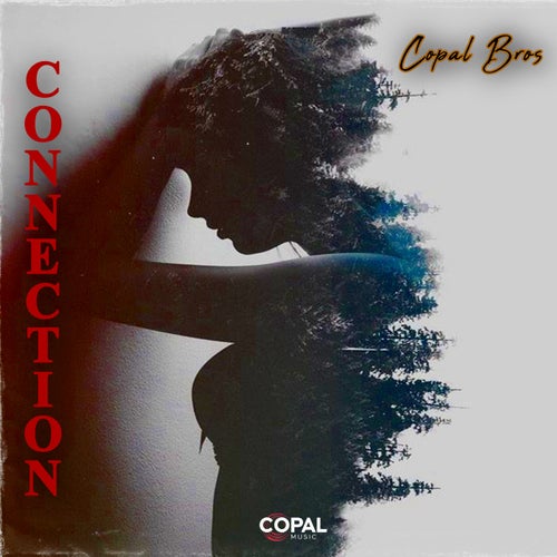 Connection