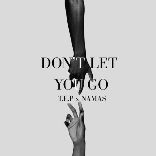 Don't Let You Go