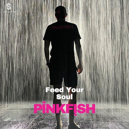 Feed Your Soul