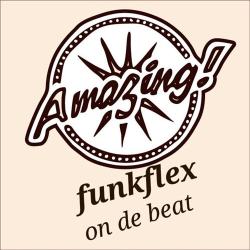 Funk Flex Profile