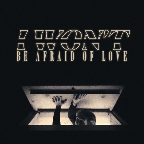 I Won't Be Afraid of Love