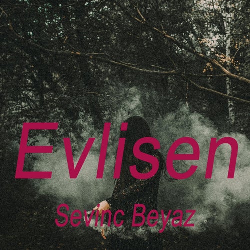 Evlisen
