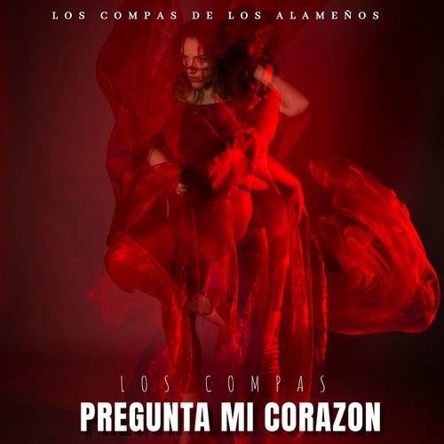 Pregunta Mi Corazón