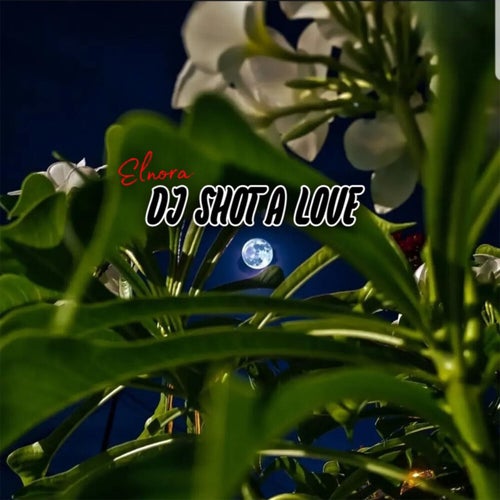 Dj Shot A Love