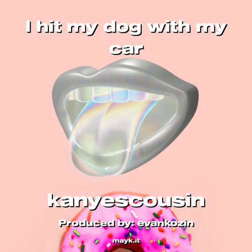 I hit my dog with my car