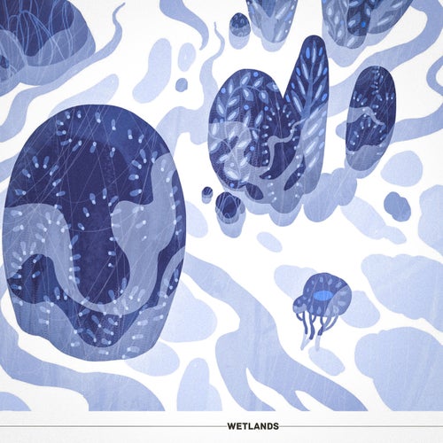 wetlands
