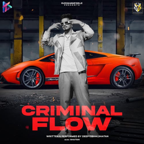 Criminal Flow