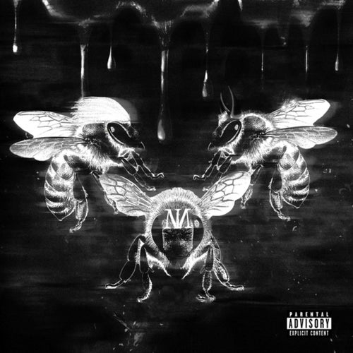 Release of the week
