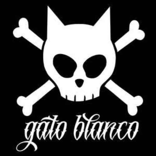 Gato Blanco Profile