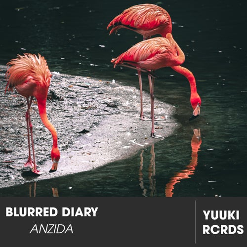 Blurred Diary
