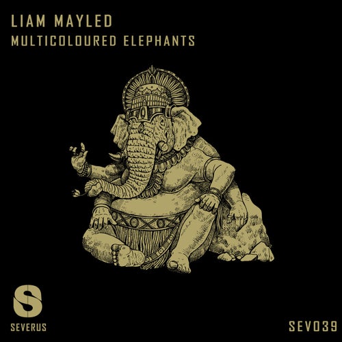 Release of the week