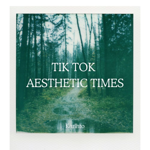 Tik Tok Aesthetic Times